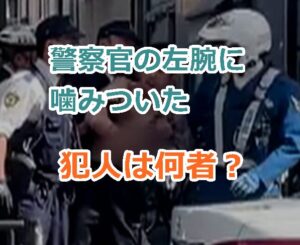 東京都浅草で上半身裸の男が警察官の左腕に噛みついた、犯人は何者？