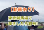 【動画あり】東京競馬場で傘さしたら怒号、下ろしたら「ありがとう」と拍手！安田記念の出走直前