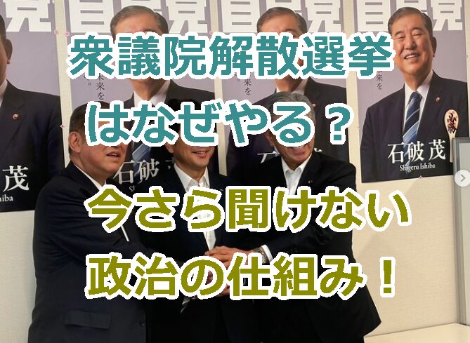 衆議院解散選挙はなぜやる？主な理由4選！今さら聞けない政治の仕組み！