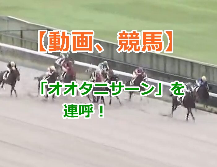 【動画、競馬】馬名「オオタニサーン」が初勝利！実況が「オオタニサーン」を連呼！