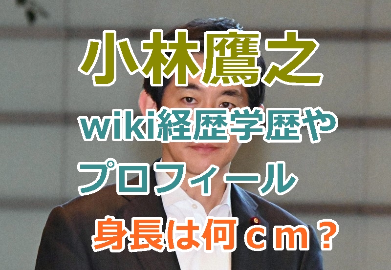 自民党小林鷹之のwiki経歴学歴やプロフィールを紹介！高身長イケメン政治家！