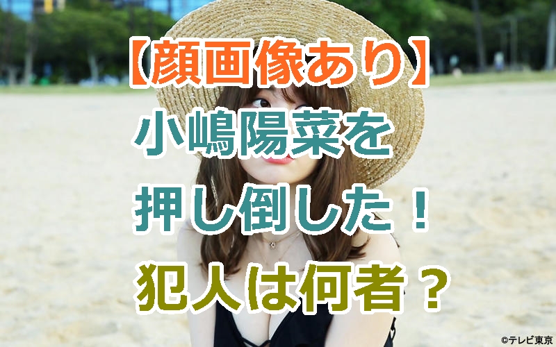 【顔画像あり】小嶋陽菜に抱きつき押し倒した！犯人は誰？事務所と警察の対応