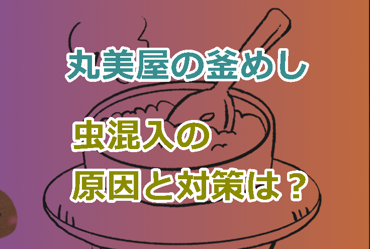 丸美屋釜めし虫混入の原因は？食品工場の虫混入の対策はどんなもの？