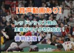 【音声動画あり】レッドソックス戦の主審がマイク切り忘れ！審判は誰？