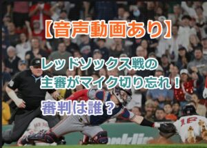 【音声動画あり】レッドソックス戦の主審がマイク切り忘れ！審判は誰？