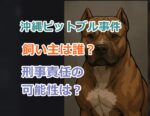 沖縄ピットブル事件の概要は？飼い主は誰？刑事責任の可能性はある？