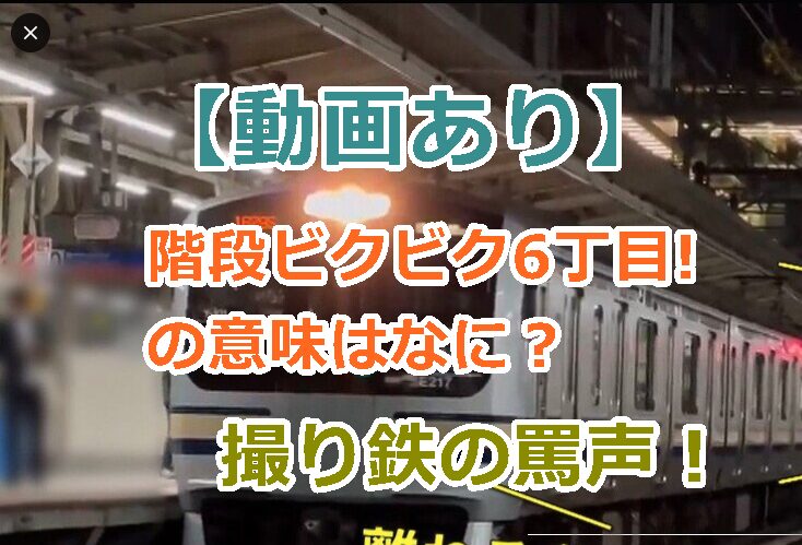 【動画あり】JR横浜駅で撮り鉄が駅員に言った「階段ビクビク6丁目!」の意味はなに？