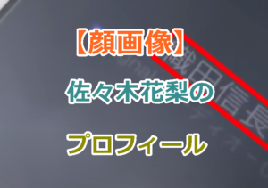 【顔画像】闇バイトで逮捕された佐々木花梨の顔画像とプロフィールや犯行の動機など