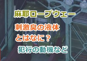 麻耶ロープウェーのゴンドラでの刺激臭の液体とはなに？犯行の動機は？