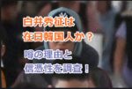 白井秀征は在日韓国人か？噂の理由と信憑性を調査！在日だから警察も忖度した？という声も！