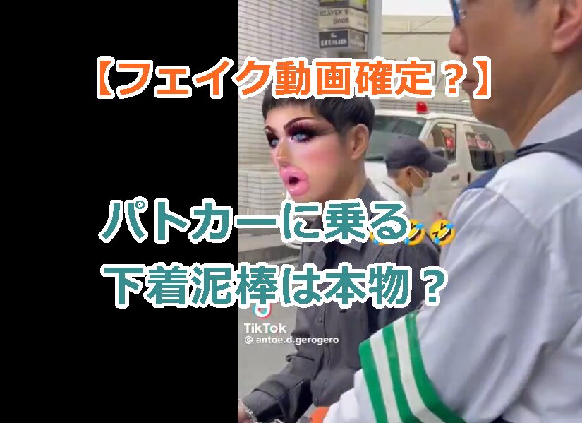 【フェイク動画確定?】パトカーに乗る下着泥棒は本物?ヤラセの理由を解説