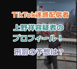 【TikTok迷惑配信者】上野祥容疑者のプロフィール！女性監禁事件の刑罰の予想は？