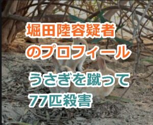 【顔画像】堀田陸容疑者のプロフィール、うさぎを蹴って77匹殺して逮捕される！