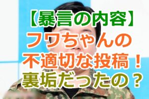 【暴言の内容】フワちゃんがやすこにリツイートした不適切な投稿！裏垢の真相は？