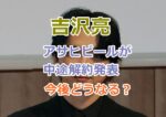 吉沢亮の住居侵入事件でアサヒビールが中途解約発表、今後どうなる？